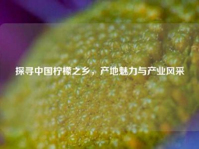探寻中国柠檬之乡，产地魅力与产业风采