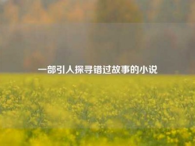 一部引人探寻错过故事的小说
