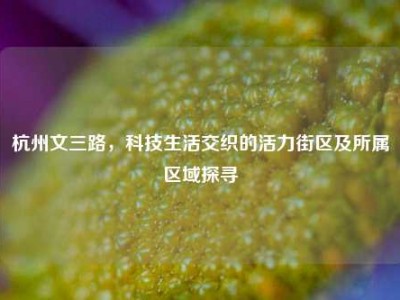 杭州文三路，科技生活交织的活力街区及所属区域探寻