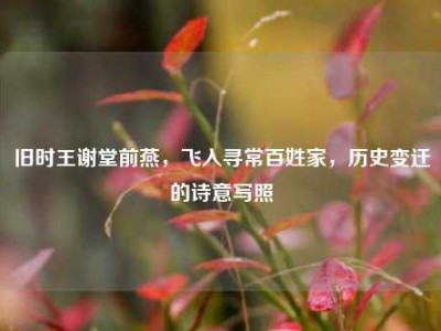 旧时王谢堂前燕，飞入寻常百姓家，历史变迁的诗意写照