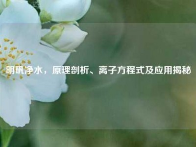 明矾净水，原理剖析、离子方程式及应用揭秘