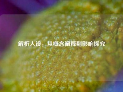 解析人设，从概念阐释到影响探究