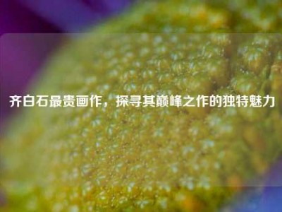 齐白石最贵画作，探寻其巅峰之作的独特魅力