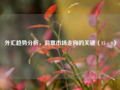 外汇趋势分析，洞察市场走向的关键（15 - 4）