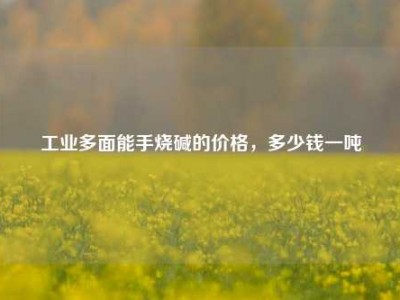 工业多面能手烧碱的价格，多少钱一吨
