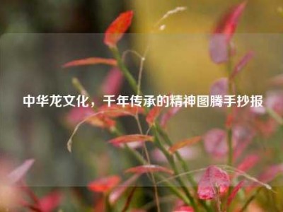 中华龙文化，千年传承的精神图腾手抄报