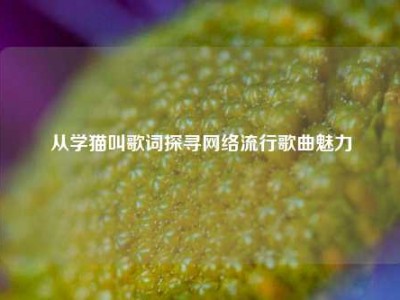 从学猫叫歌词探寻     流行歌曲魅力