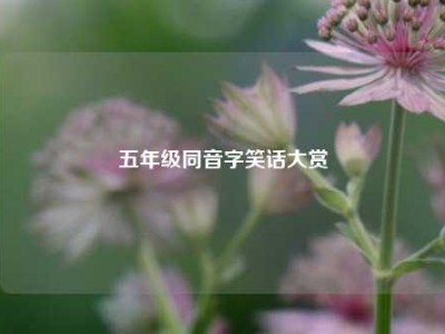 五年级同音字笑话大赏