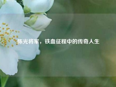 陈光将军，铁血征程中的传奇人生