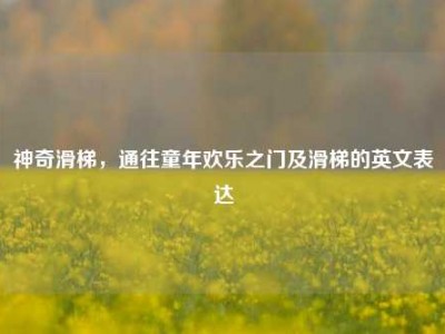 神奇滑梯，通往童年欢乐之门及滑梯的英文表达