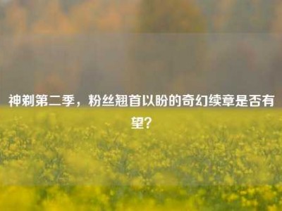 神剃第二季，粉丝翘首以盼的奇幻续章是否有望？