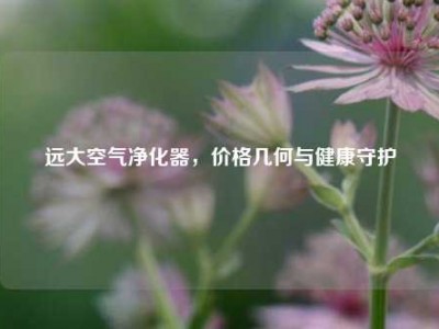 远大空气净化器，价格几何与健康守护