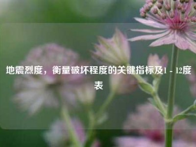 地震烈度，衡量破坏程度的关键指标及1 - 12度表