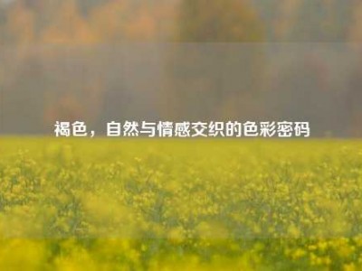 褐色，自然与情感交织的色彩密码