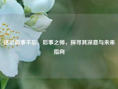 铭记前事不忘，后事之师，探寻其深意与未来指向