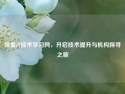 探索IT技术学习网，开启技术提升与机构探寻之旅