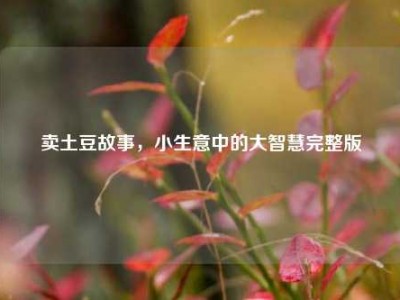 卖土豆故事，小生意中的大智慧完整版
