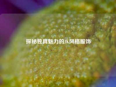 探秘独具魅力的JK风格服饰