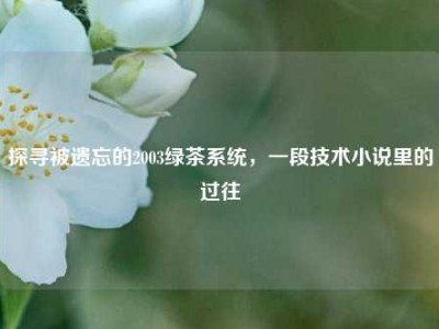 探寻被遗忘的2003绿茶系统，一段技术小说里的过往