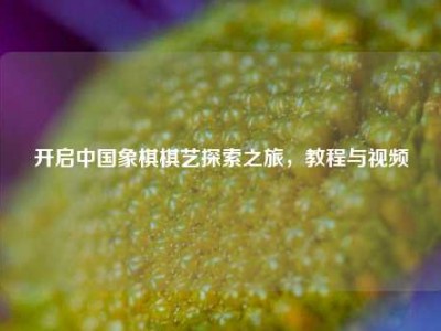 开启中国象棋棋艺探索之旅，教程与视频