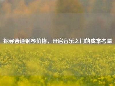 探寻普通钢琴价格，开启音乐之门的成本考量