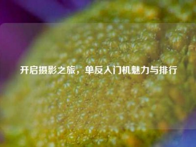 开启摄影之旅，单反入门机魅力与排行
