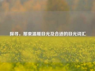 探寻，那束温暖目光及合适的目光词汇