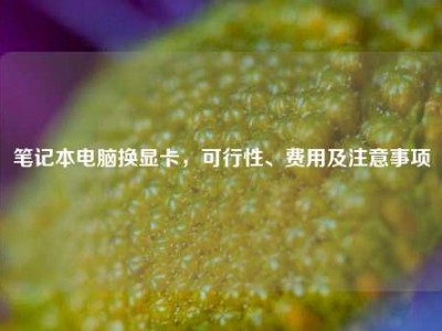 笔记本电脑换显卡，可行性、费用及注意事项