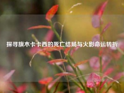 探寻旗木卡卡西的死亡结局与火影命运转折