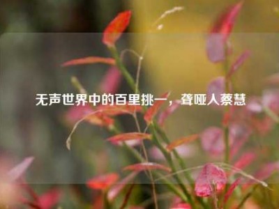 无声世界中的百里挑一，聋哑人蔡慧