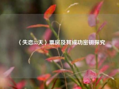 〈失恋33天〉票房及其成功密钥探究