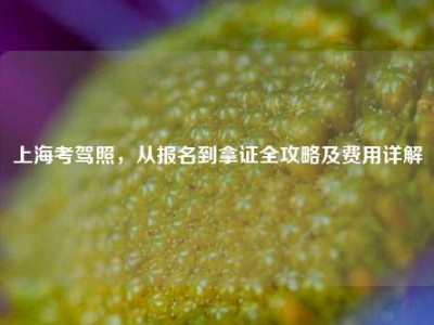 上海考驾照，从报名到拿证全攻略及费用详解