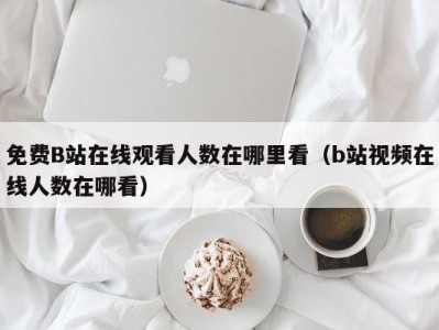 免费B站在线观看人数在哪里看（b站视频在线人数在哪看）