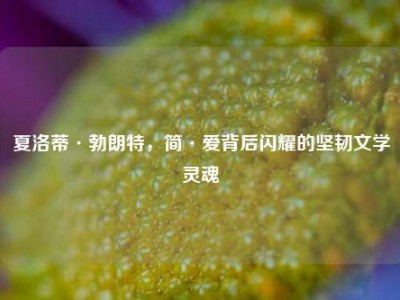 夏洛蒂·勃朗特，简·爱背后闪耀的坚韧文学灵魂