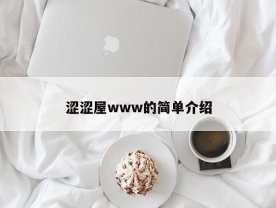 涩涩屋www的简单介绍