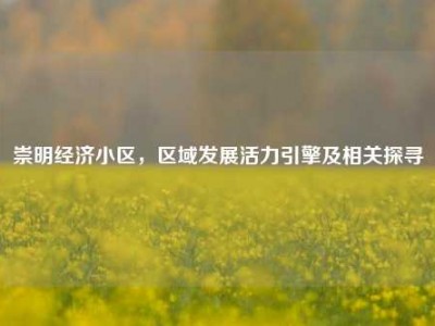 崇明经济小区，区域发展活力引擎及相关探寻