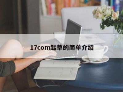 17com起草的简单介绍