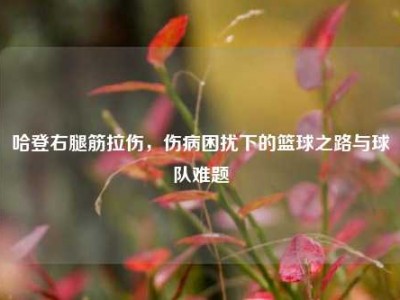 哈登右腿筋拉伤，伤病困扰下的篮球之路与球队难题