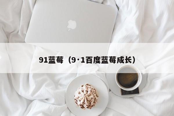 91蓝莓（9·1百度蓝莓成长）