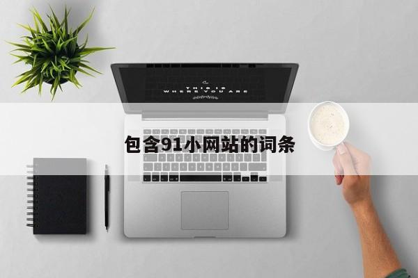 包含91小网站的词条