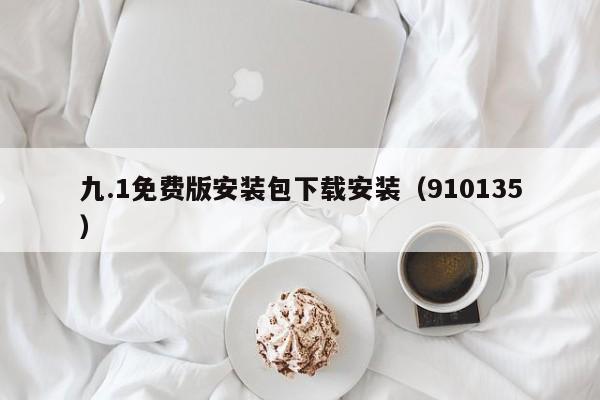 九.1免费版安装包下载安装（910135）