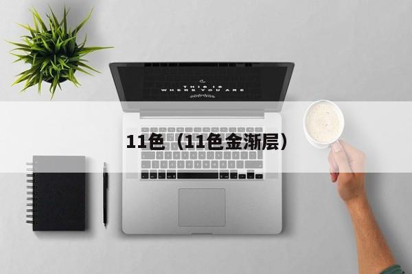 11色（11色金渐层）