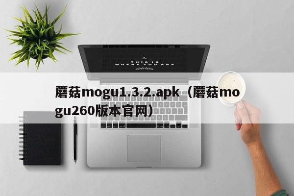 蘑菇mogu1.3.2.apk（蘑菇mogu260版本官网）