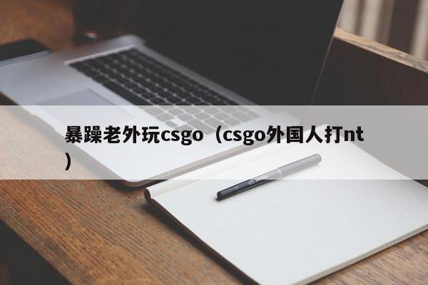 暴躁老外玩csgo（csgo外国人打nt）