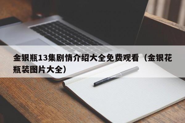 金银瓶13集剧情介绍大全免费观看（金银花瓶装图片大全）