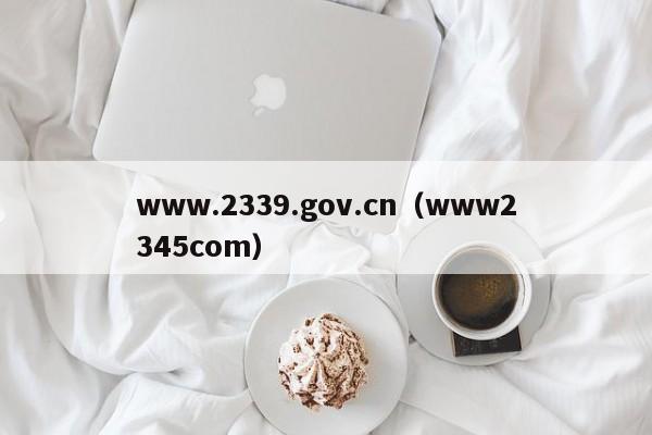 www.2339.gov.cn（www2345com）