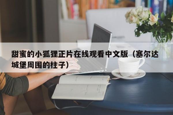 甜蜜的小狐狸正片在线观看中文版（塞尔达 城堡周围的柱子）