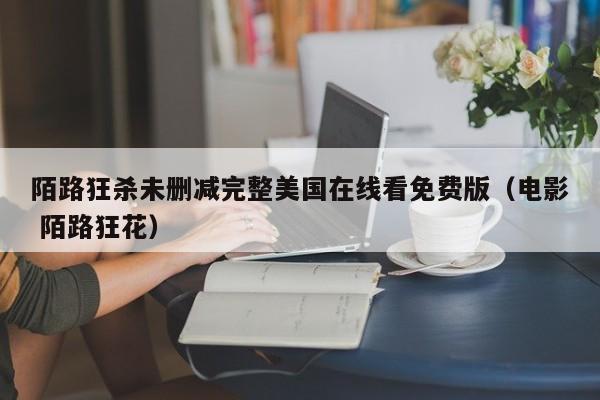 陌路狂杀未删减完整美国在线看免费版（电影 陌路狂花）