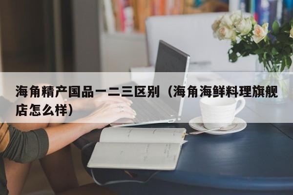 海角精产国品一二三区别（海角海鲜料理旗舰店怎么样）
