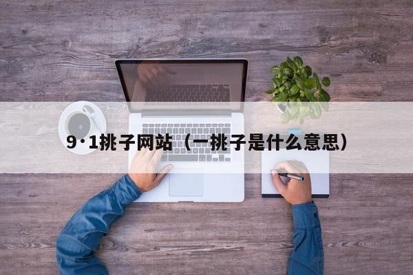 9·1挑子网站（一挑子是什么意思）
